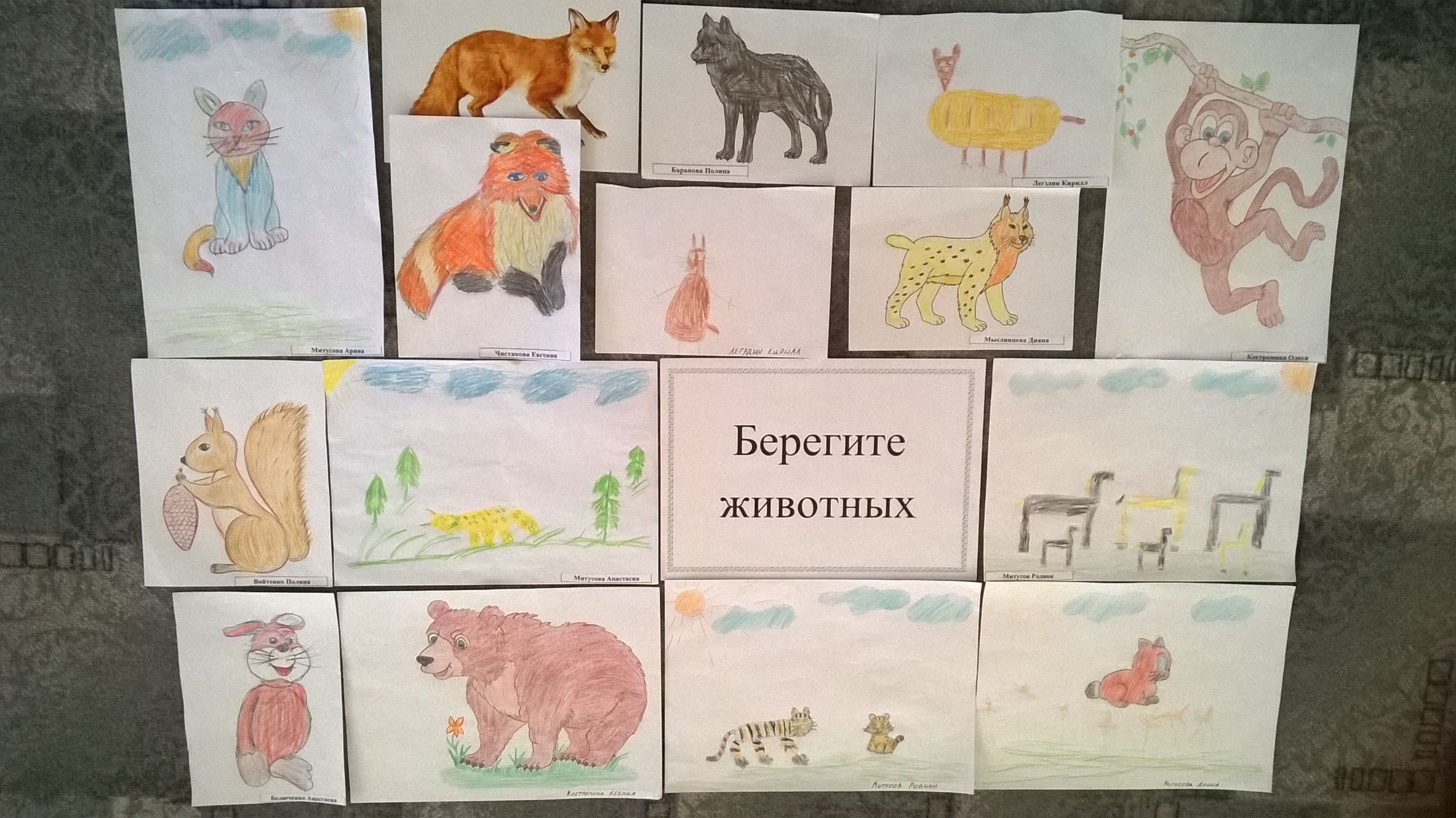 Плакат береги животных для детей